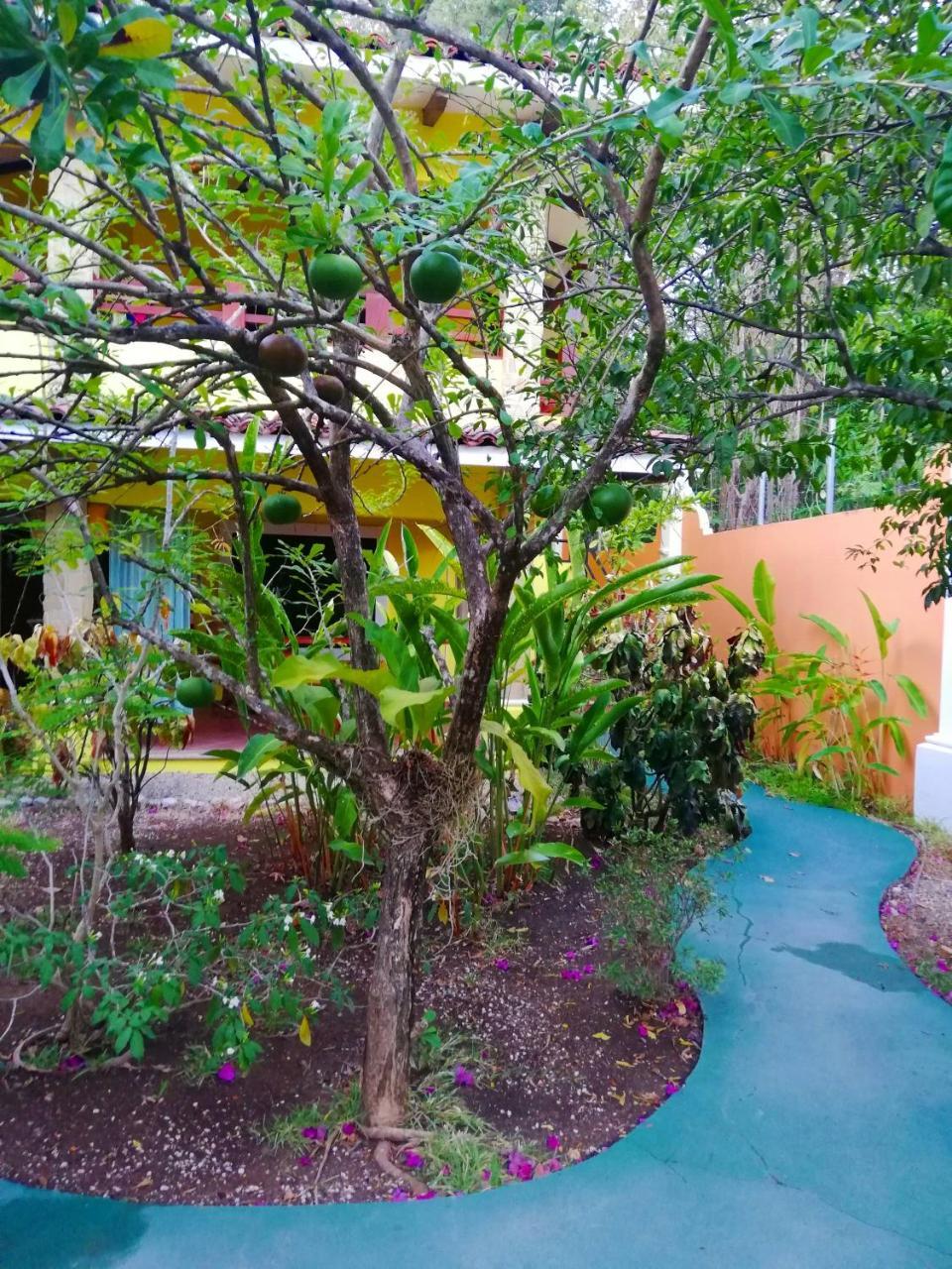 Villas Verdes Sámara Extérieur photo